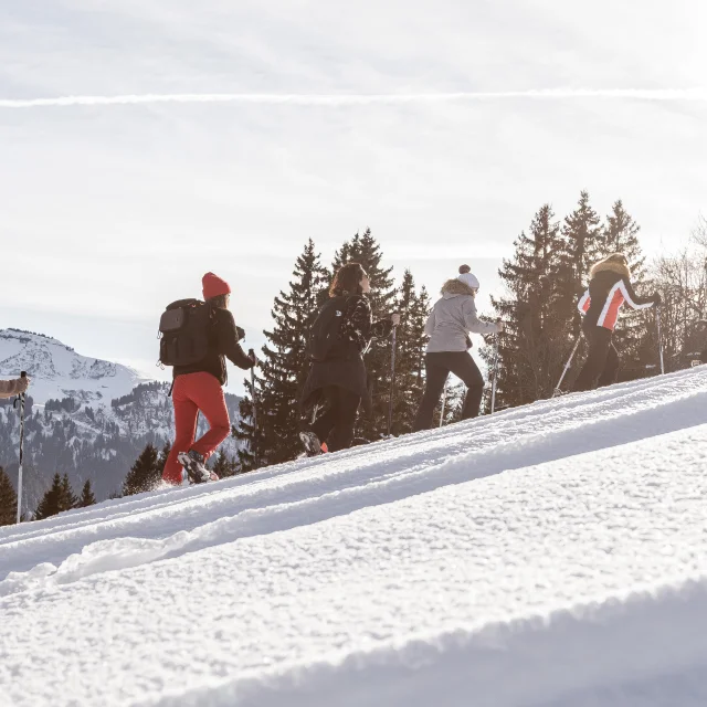 Schneeschuhwanderung