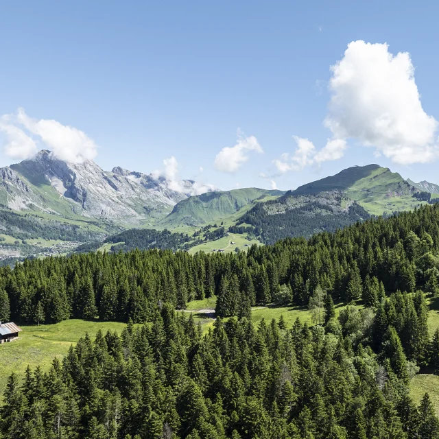 Landschaft Saint Jean De Sixt